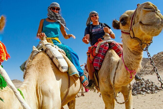 Dubai Desert Escape: Red Dunes Safari, Falcon, Camel & BBQ Dinner - The Sum Up