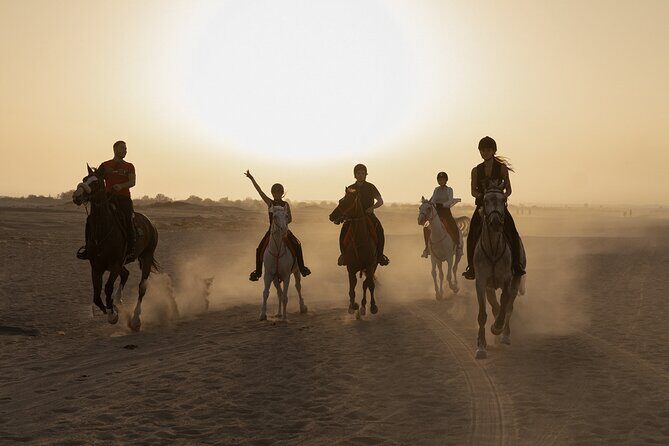 Dubai Desert Horseback Safari with Photoshoot - Key Points