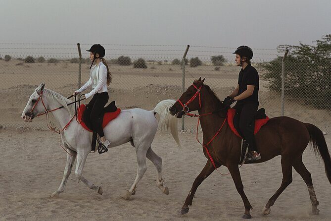 Dubai Desert Horseback Safari with Photoshoot - An Authentic Desert Experience on Horseback