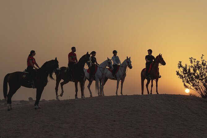 Dubai Desert Horseback Safari with Photoshoot - The Adventure Itself: What to Expect