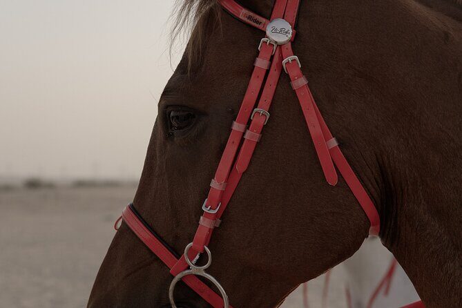 Dubai Desert Horseback Safari with Photoshoot - Practical Aspects: Booking, Duration, and Accessibility