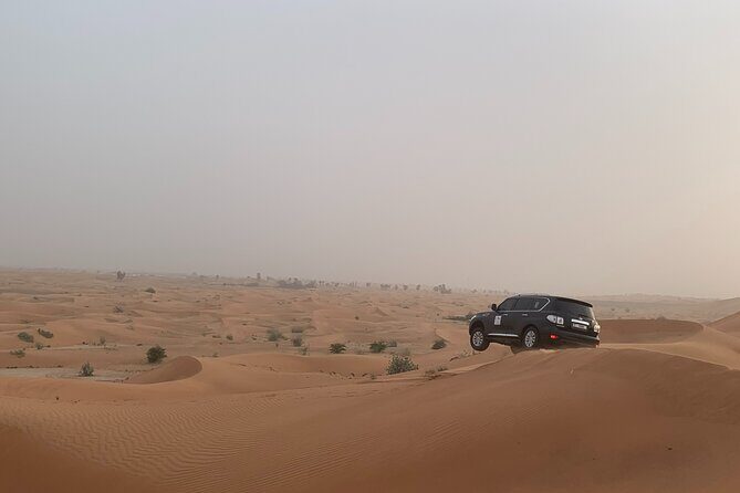 Dubai Desert Safari-BBQ Dinner, Belly Dance, Fire show - Final Thoughts on the Dubai Desert Safari