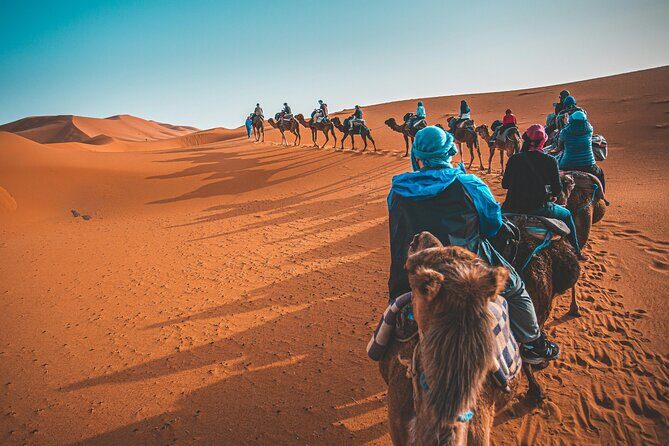 Dubai Desert Safari Camel Ride Sand Boarding BBQ Dinner - Final Thoughts
