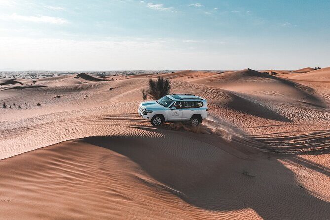 Dubai Desert Safari: Camel Ride, Sandboarding, BBQ & House Drinks - Frequently Asked Questions