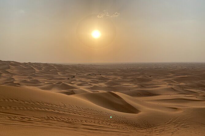 Dubai Desert Safari, Camel Ride, Shisha, Henna, Live BBQ & Shows - The Sum Up