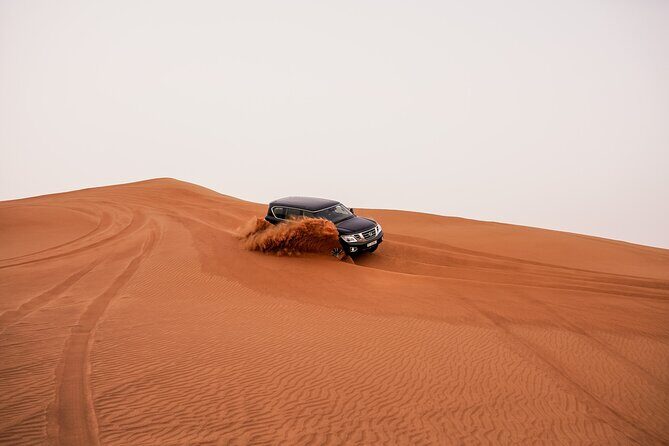 Dubai Desert Safari: Experience the Best of the Arabian Desert - The Value of This Tour