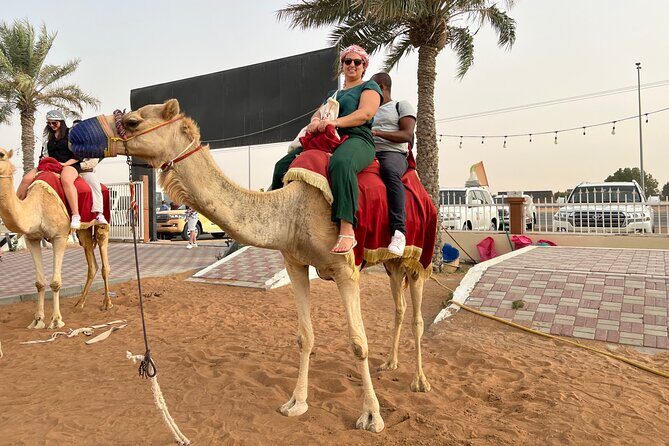 Dubai Desert Safari- Experience The Thrill in The Desert - Who Would Enjoy This Tour?