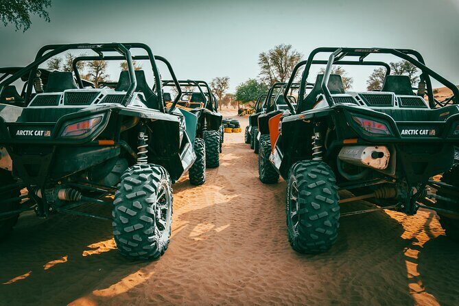 Dubai: Desert Safari Near City  Premium Dining - Key Points