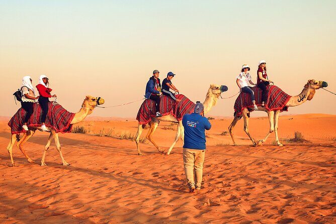Dubai: Desert Safari, Quad Bike, Camel Ride with VIP Majlis - Authentic Experiences and Hidden Details