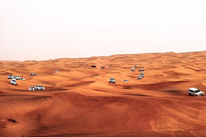 Dubai Desert Safari Red Dune: BBQ, Camel Ride & Sandboarding - Dubai Desert Safari Red Dune: BBQ, Camel Ride & Sandboarding – An Honest Look