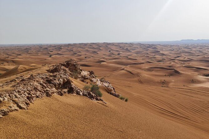 Dubai Desert Safari Sand board Camel Ride & Quad Bike - Why This Tour Is a Great Choice