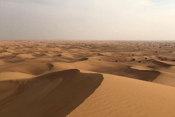 Dubai Desert Safari Sharing with Quad, Shows, Camel and Dinner - Sandboarding & Sunset: Scenic Moments