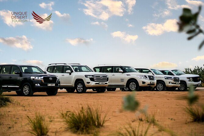 Dubai Desert Safari Standard Package - An In-Depth Look at the Dubai Desert Safari Experience