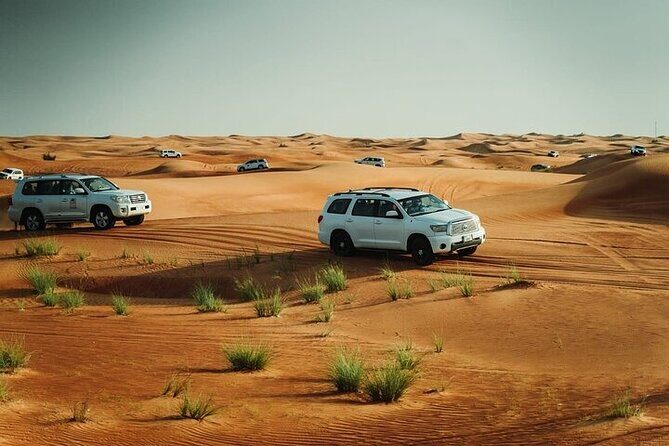 Dubai Desert Safari Tour by 4WD with Options - The Sum Up