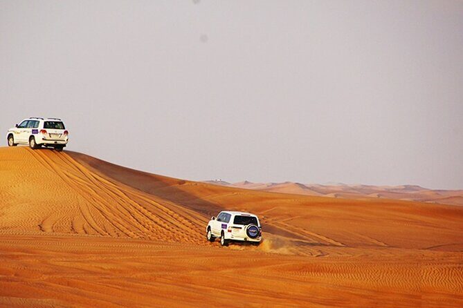 Dubai Desert Safari with BBQ, 3 Shows & Camel Ride at Majlis Camp - Final Thoughts: Who Should Consider This Tour?