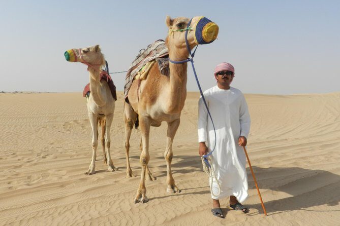 Dubai Desert Safari with BBQ, 3 Shows & Camel Ride at Majlis Camp - FAQ: Your Questions Answered