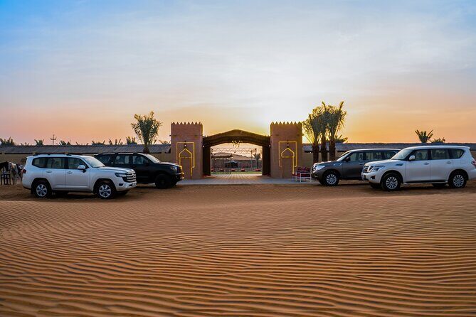 Dubai Desert Safari with BBQ, Dune, Live Shows - Who Should Consider This Tour?