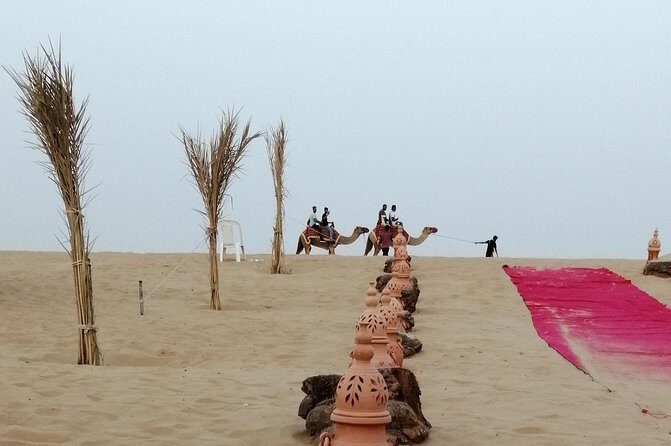 Dubai Desert Safari with Buffet Dinner Evening - Who Is This Tour Best For?