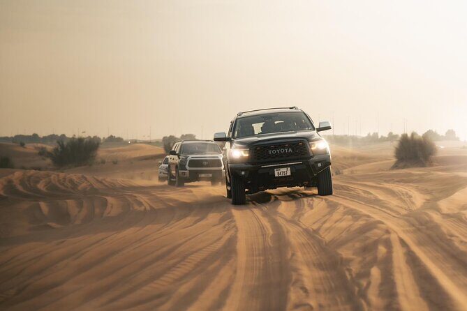Dubai Desert Safari with Camel Ride, Sand surf, & BBQ Dinner - Final Thoughts