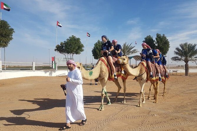 Dubai Desert Safari with Camel Riding, Sand Boarding,BBQ Dinner and 3 Live Shows - Practical Tips for Travelers