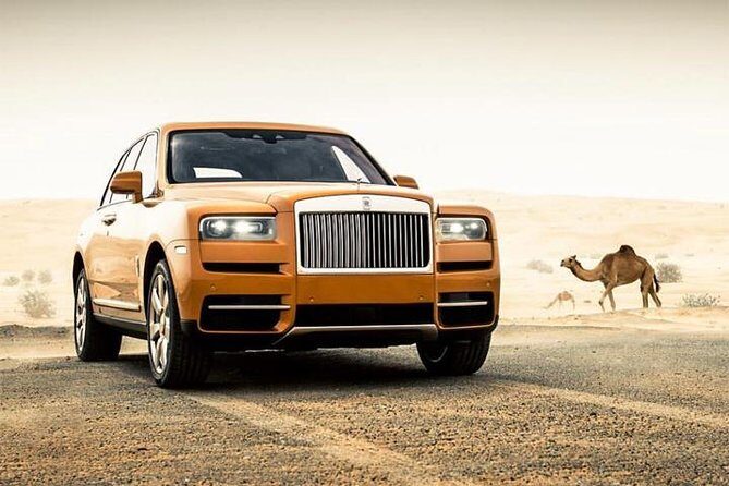 Dubai Desert Safari with Dance show, Sand Boarding, Camel & BBQ - An In-Depth Look at the Dubai Desert Safari with Dance Show, Sand Boarding, Camel & BBQ