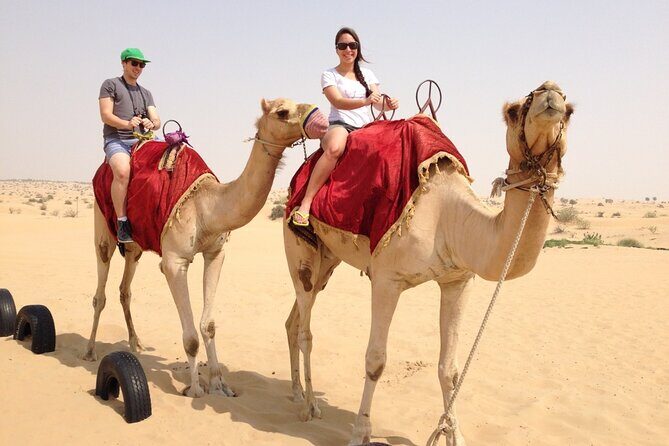 Dubai Desert Safari with Dinner, Camel Ride & Dune Bashing - Practical Tips for a Smooth Experience  