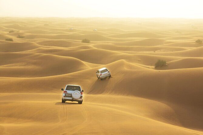 Dubai Desert Safari with Dinner - The Sum Up