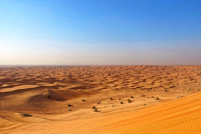 Dubai Desert Safari with Dune Bashing, Camel Rides & BBQ - Final Thoughts