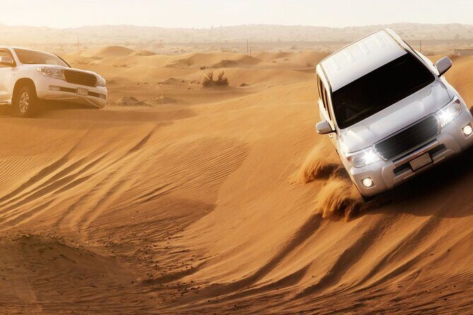 Dubai Desert Safari with Dune Bashing, Camel rides & BBQ Dinner - Practical Details and Tips