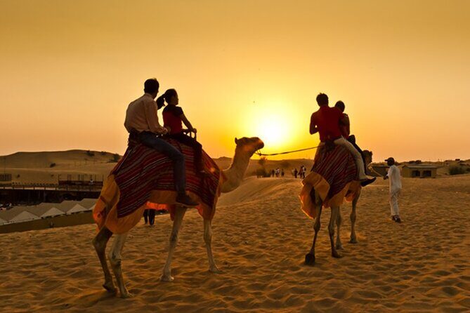 Dubai Desert Safari with Dune Bashing, Camel rides & BBQ Dinner - Final Thoughts