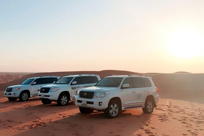 Dubai Desert Safari with Dune Bashing , Dinner Buffet & Entertainments - Who Is This Tour Best For?