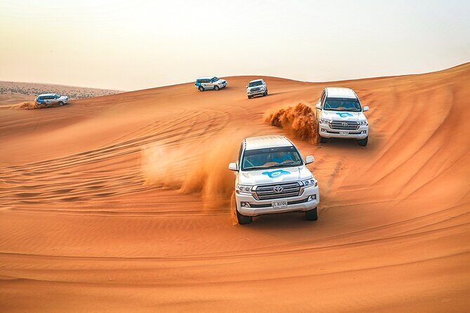 Dubai Desert Safari with Live Show, BBQ Dinner, Camel Ride & Sand Board Options - What Makes This Tour Stand Out?