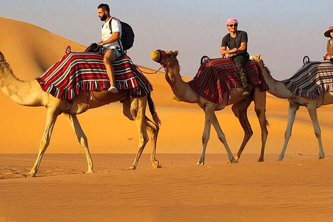 Dubai Desert Safari with Live Show, BBQ Dinner, Camel Ride & Sand Board Options - Why This Tour Is a Great Choice