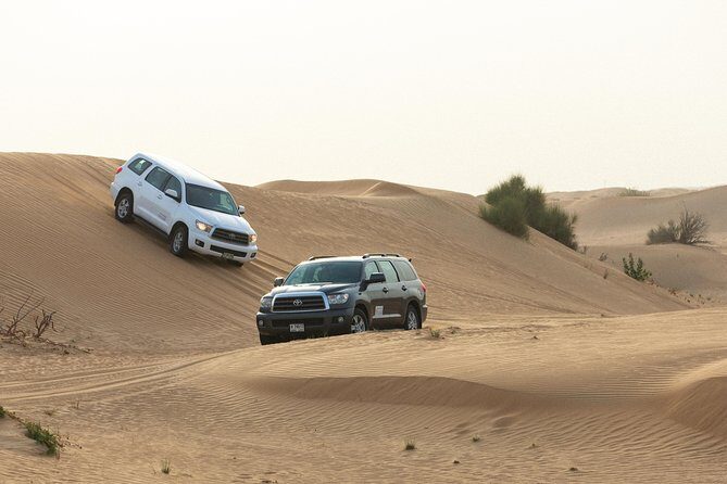 Dubai Desert Safari with Quads, BBQ Dinner, Camel ride, & Shows - Practical Tips for Your Desert Safari