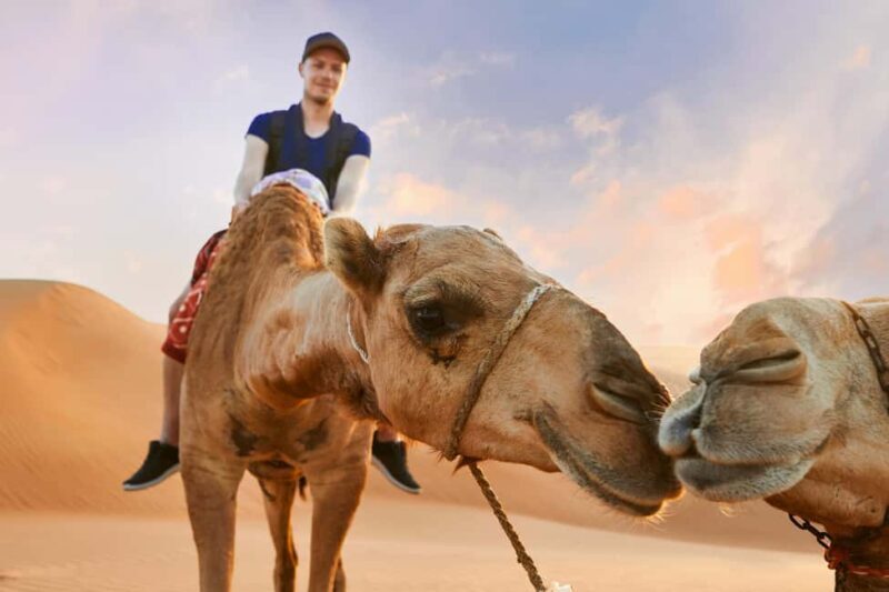Dubai Desert Trail: Guided Quad/Polaris and Red Dunes Safari - Optional Sunset and Additional Highlights