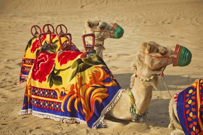 Dubai Dune Buggy Safari - Private Transfer - What Sets This Tour Apart