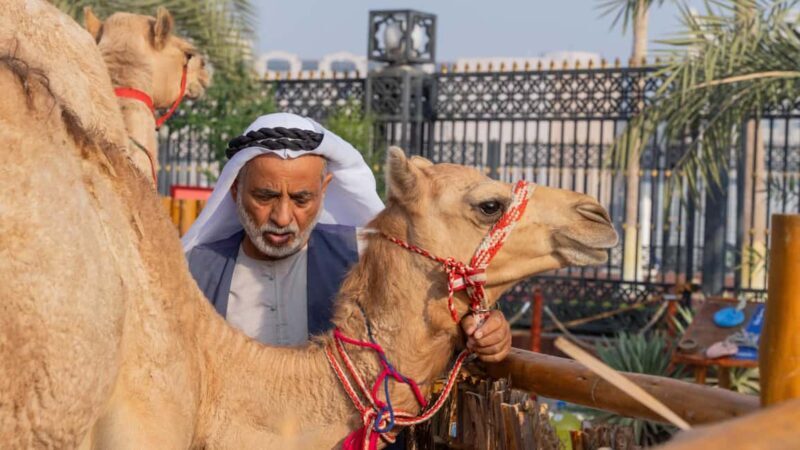 Dubai: Emirati Cultural Experience with Emirati Meal - What This Tour Offers
