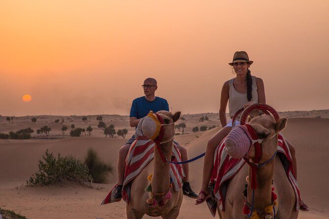 Dubai: Evening Camel Caravan, Bedouin Dinner at Al Marmoom Oasis - Key Points