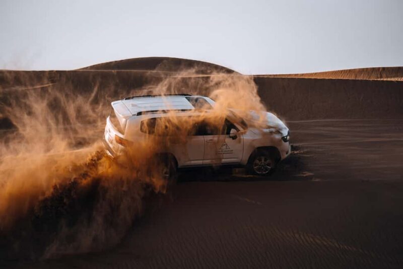 Dubai Evening Desert Safari: Camel Ride, Shows & Fort Dinner - Key Points