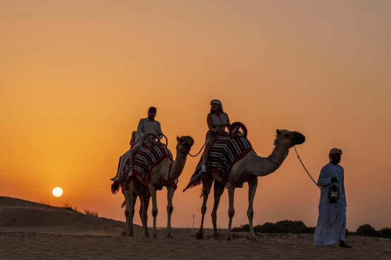 Dubai: Evening Desert Safari with Camel Ride & Stargazing - Key Points