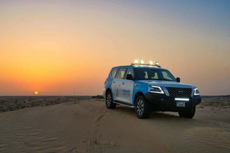 Dubai: Evening Desert Safari with Camel Ride & Stargazing - What Sets This Tour Apart