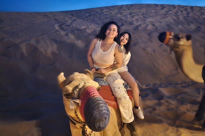 Dubai Evening Desert Safari with Dinner, Camel Ride and Show - Who is this tour best suited for?