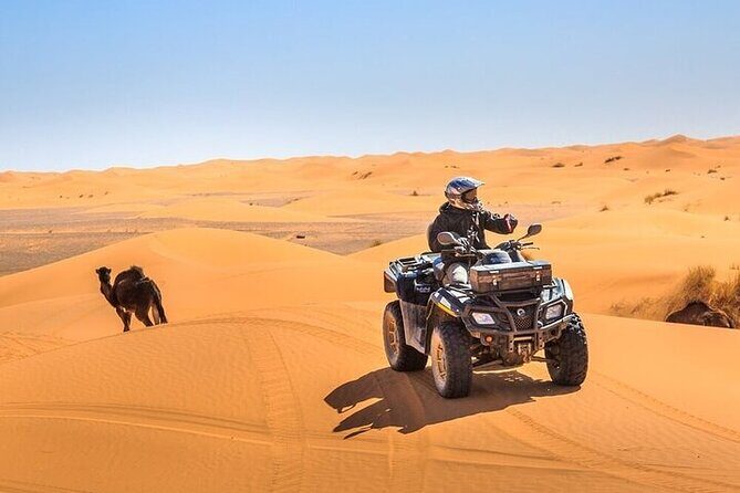 Dubai Evening Desert Safari with Quad bike, Dinner and Show - Dubai Evening Desert Safari with Quad Bike, Dinner, and Show: An Honest Review