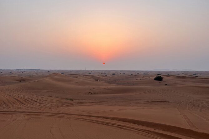 Dubai Evening Red Dune Safari With 30 Mins ATV, BBQ, Live Shows - Final Verdict
