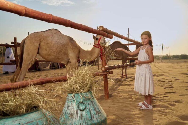 Dubai: Exclusive VIP Desert Safari Dinner with Live Show - Key Points
