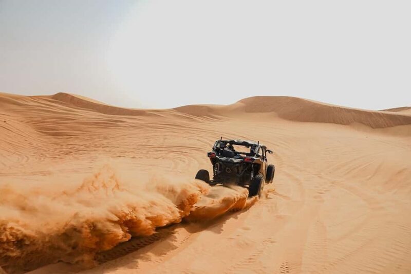 Dubai: Extreme Can-Am Buggy Desert Safari Adventure - What to Expect on the Can-Am Buggy Desert Safari