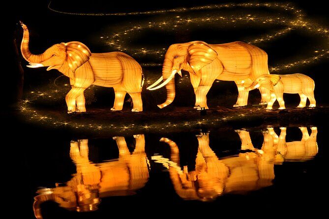 Dubai Garden Glow Tickets with Transport Options - An In-Depth Look at Dubai Garden Glow