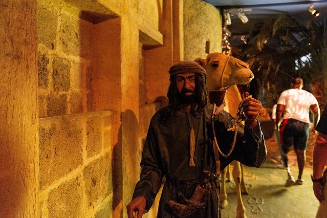 Dubai Half-Day City Tour with Visit to Dubai Gold Souk - Transportation and Group Size