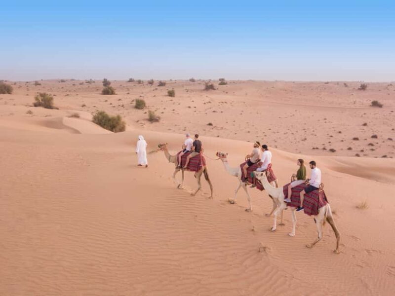 Dubai: Heritage Camel Desert Safari with Traditional Dinner - Value for Money and Practical Considerations