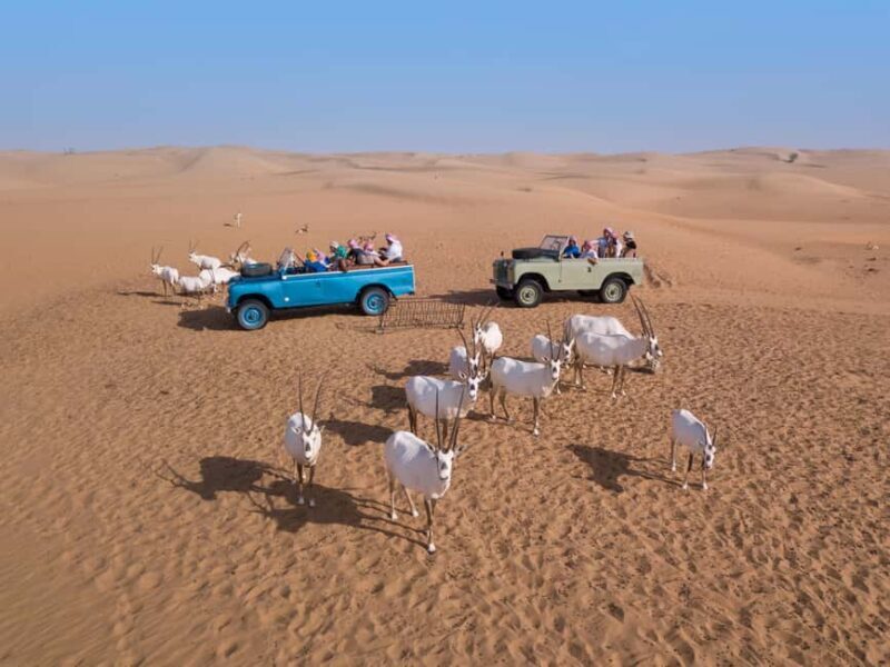 Dubai: Heritage Safari in Vintage Land Rover with Dinner - Final Words: Who Should Consider This Tour?